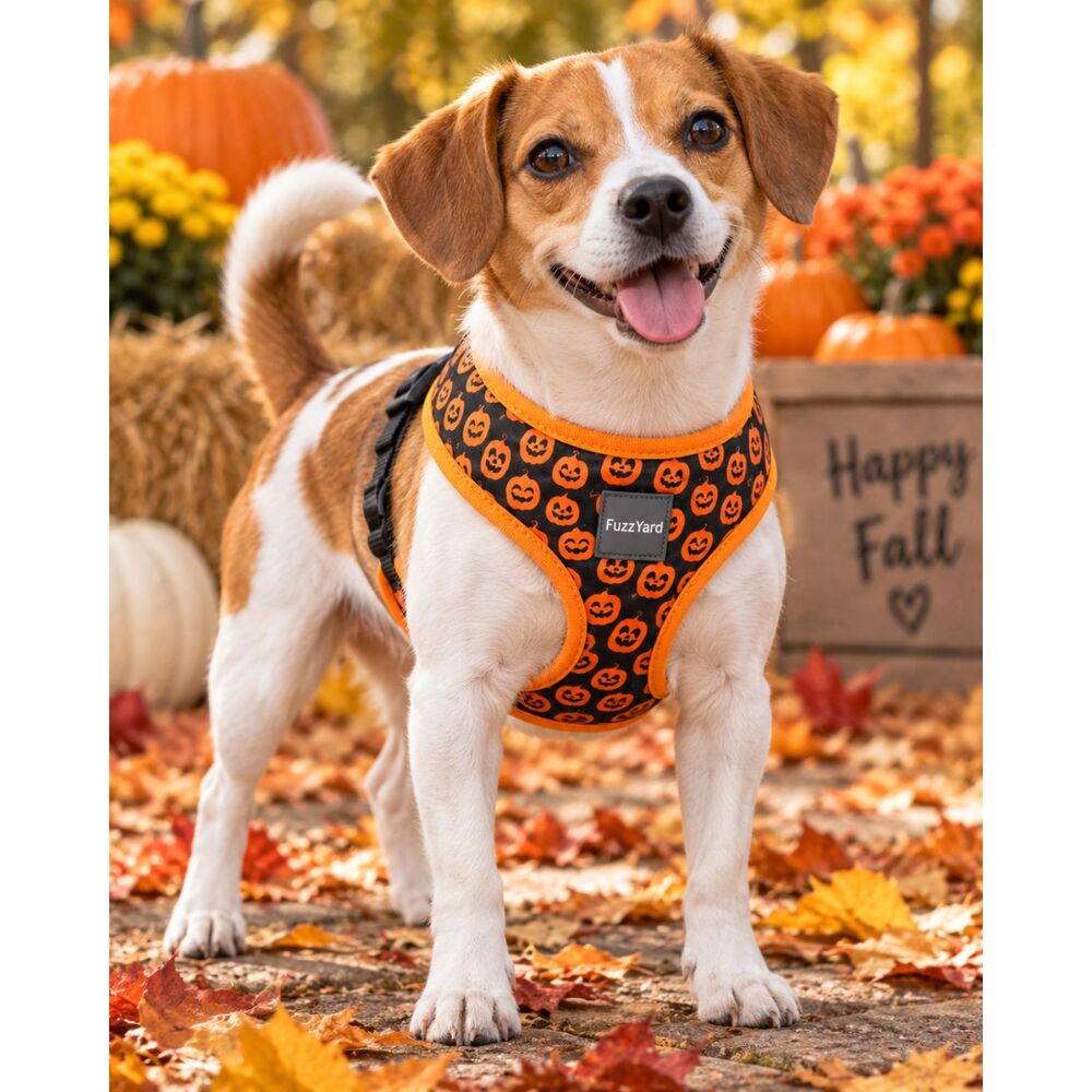 FuzzYard Pumpkin Print Dog Harness – Black & Orange Halloween Size Small